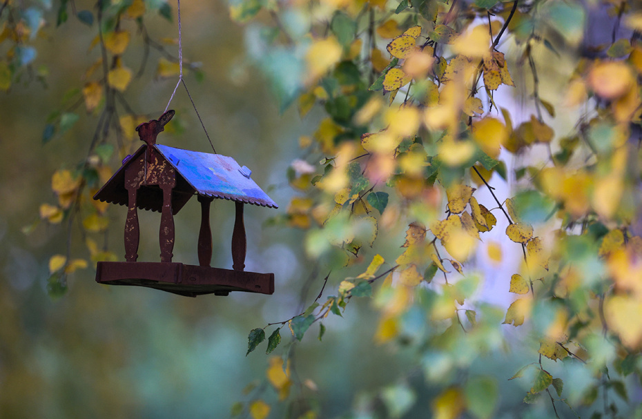    Сергей Булкин/NEWS.ru