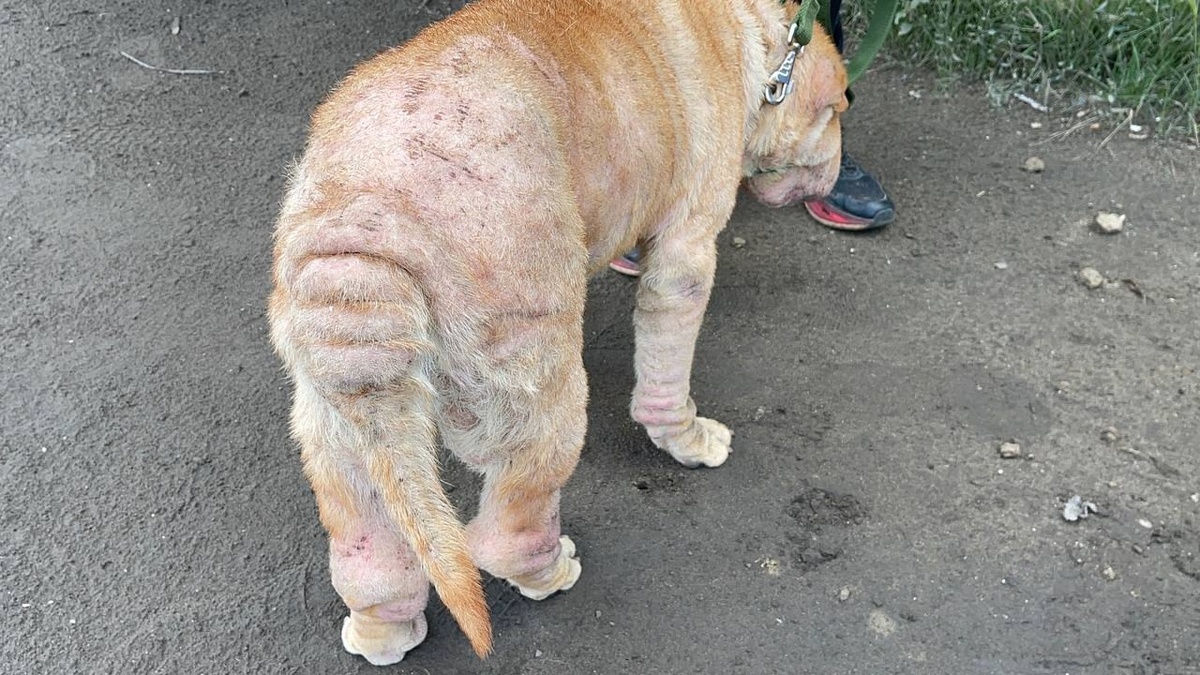 Наши с вами успехи!