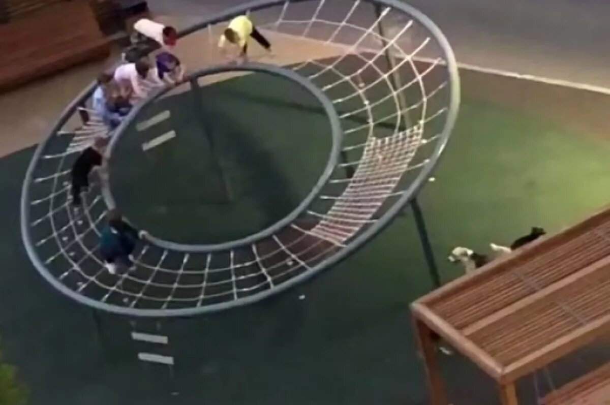    В Краснодаре стая бродячих собак загнала детей на карусель