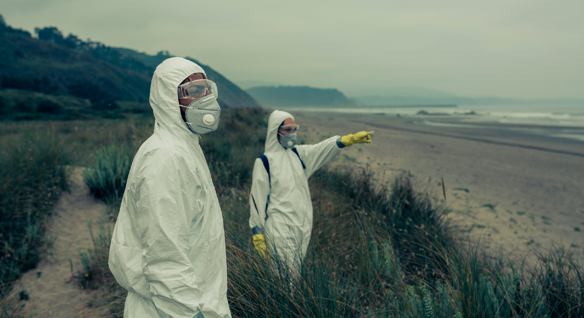 Бактерии Vibrio активно размножаются в теплой морской воде, температура которой достигает +20 °C и выше. Источник фото: shutterstock.com