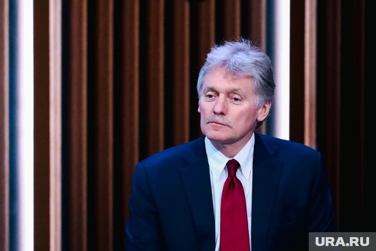    Песков оценил добровольческий ресурс в России высоким