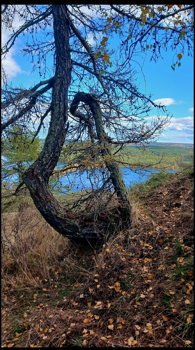 "Доброе утро, мир! Ты прекрасен!" Фото автора