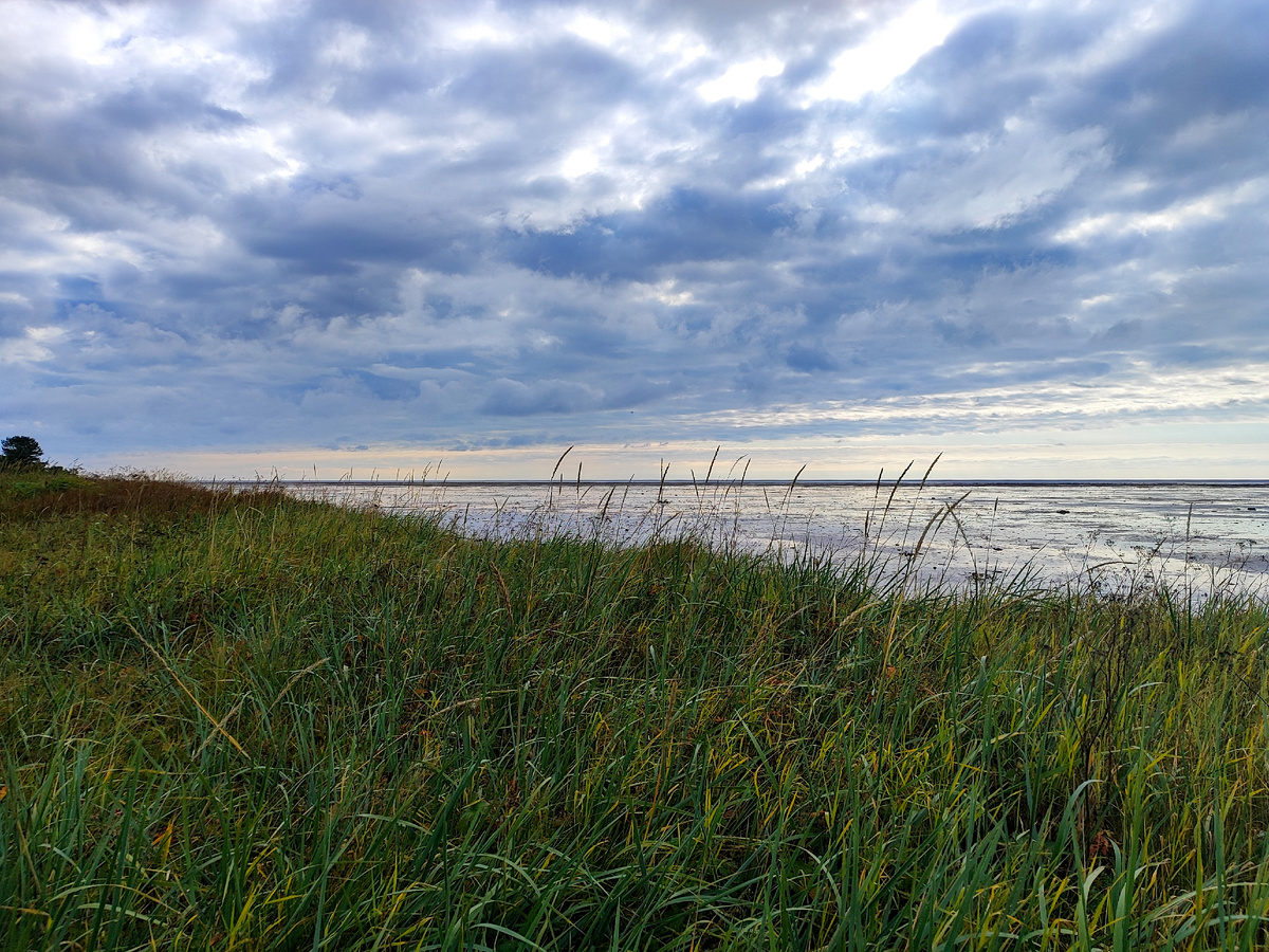 Моё первое Белое море...