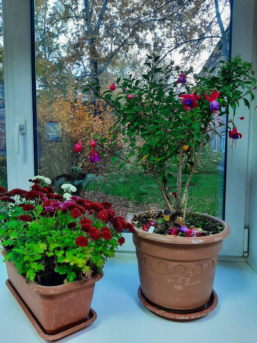 Фото автора