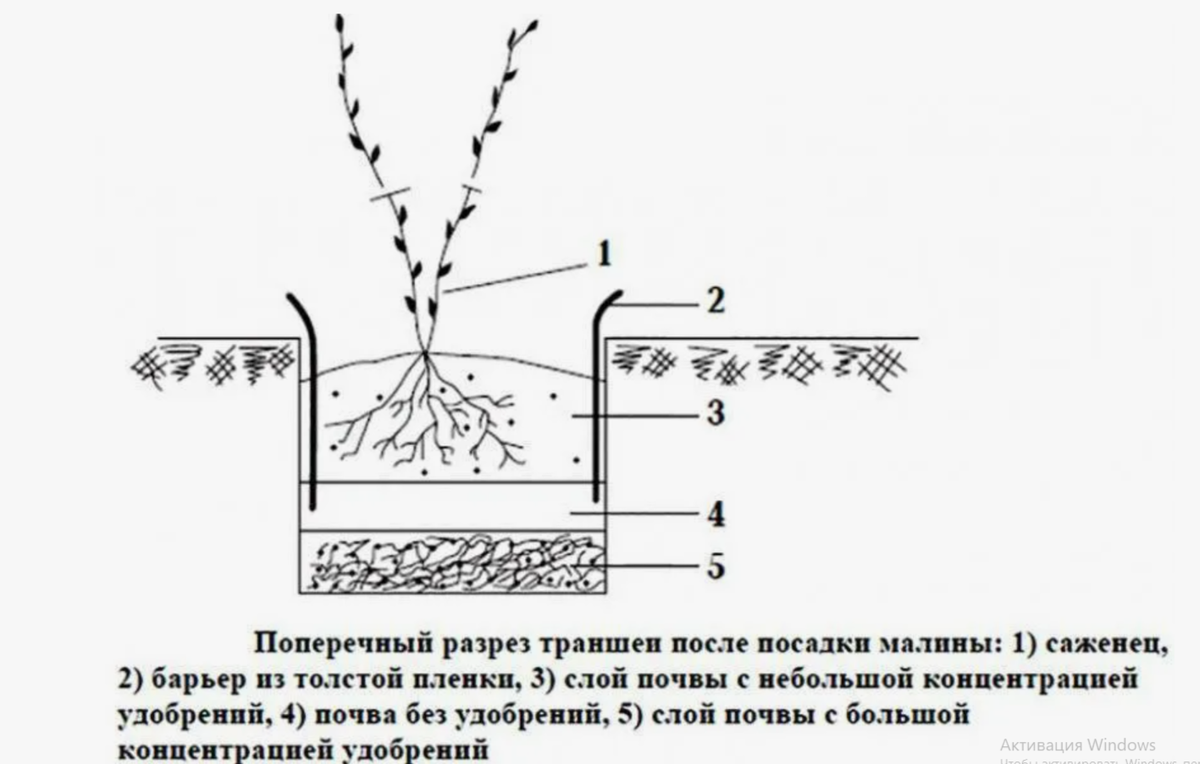 посадка схема усреднённая