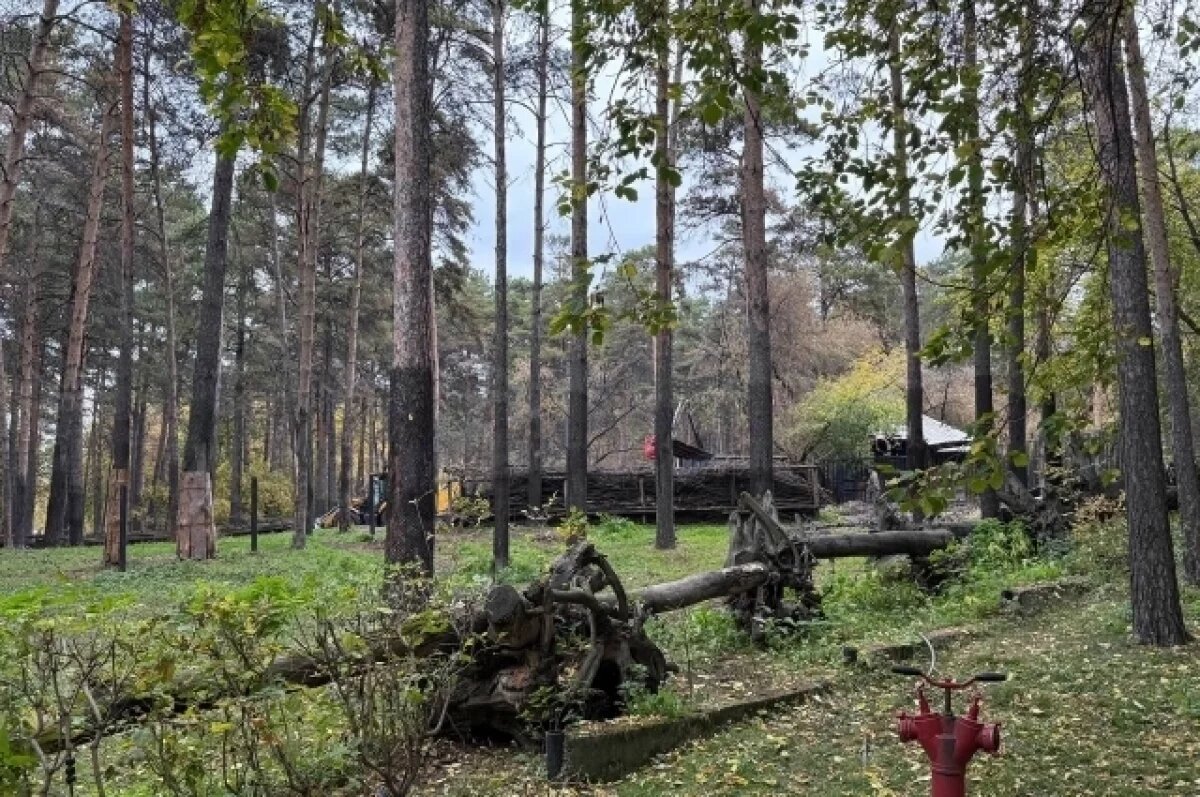    Так выглядит место пожара 24 сентября.