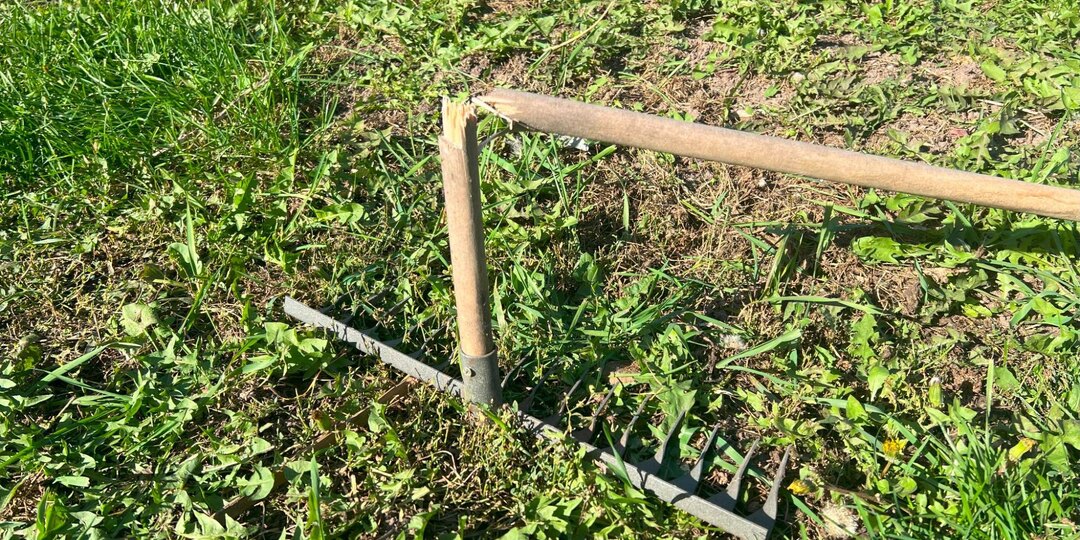 Что делают умелые дачники со сломанным черенком, практичная идея на каждый сезон