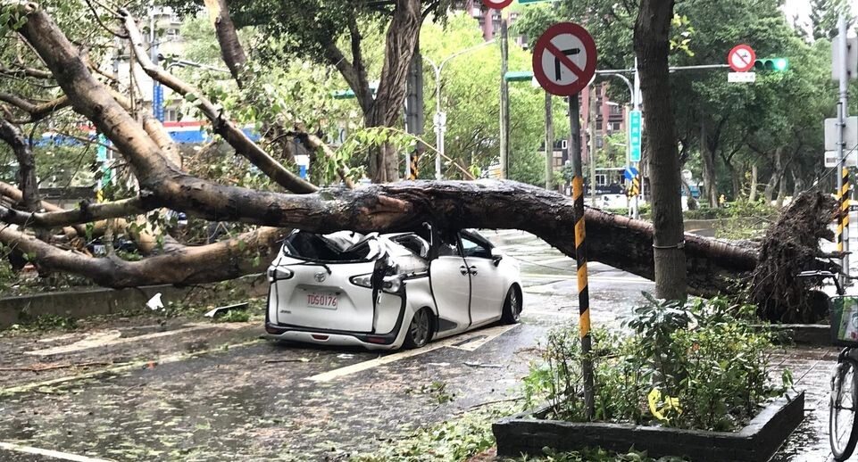    Yu-Tzu Chiu / www.globallookpress.com