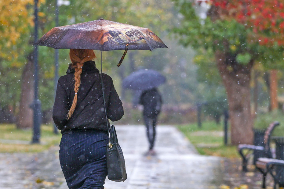    Наталья Шатохина/NEWS.ru