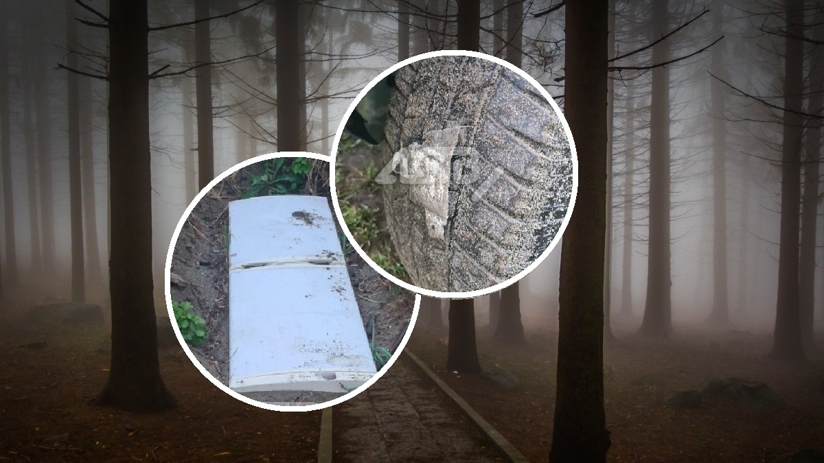 Фото: pxhere.com; astv.ru