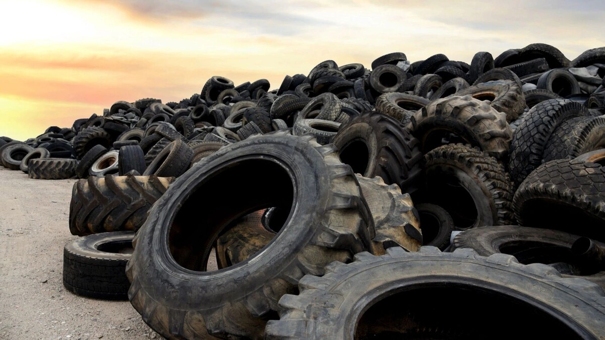    Фото: Maksim Safaniuk/Shutterstock/Fotodom