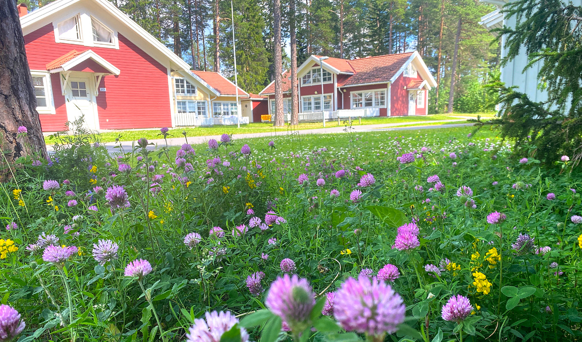Вот такие скромные, но уютные домики в живописном месте