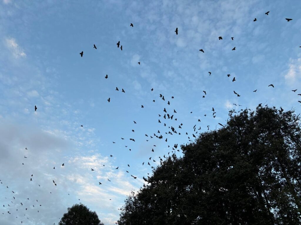    Фото: smolnarod.ru