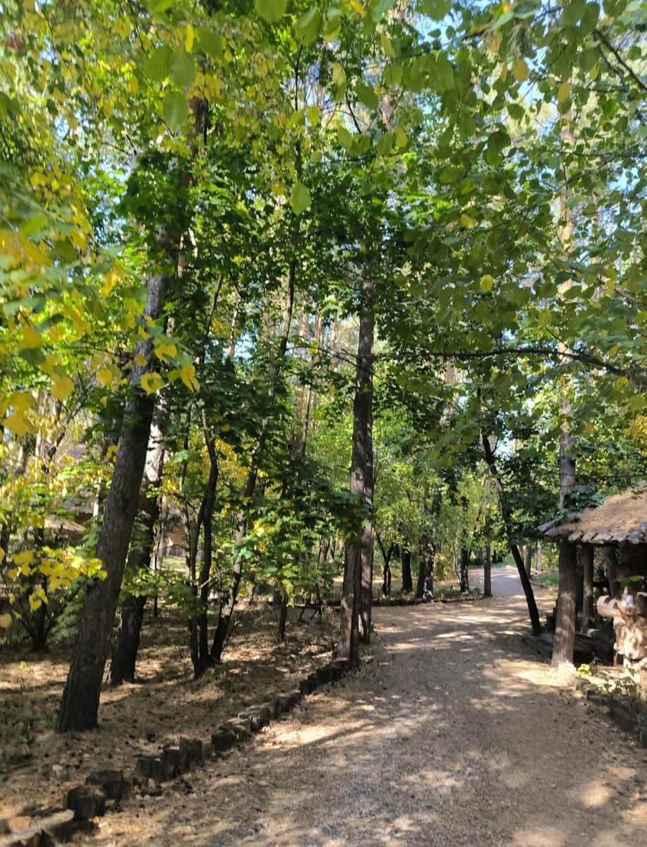 Все фотографии в статье авторские