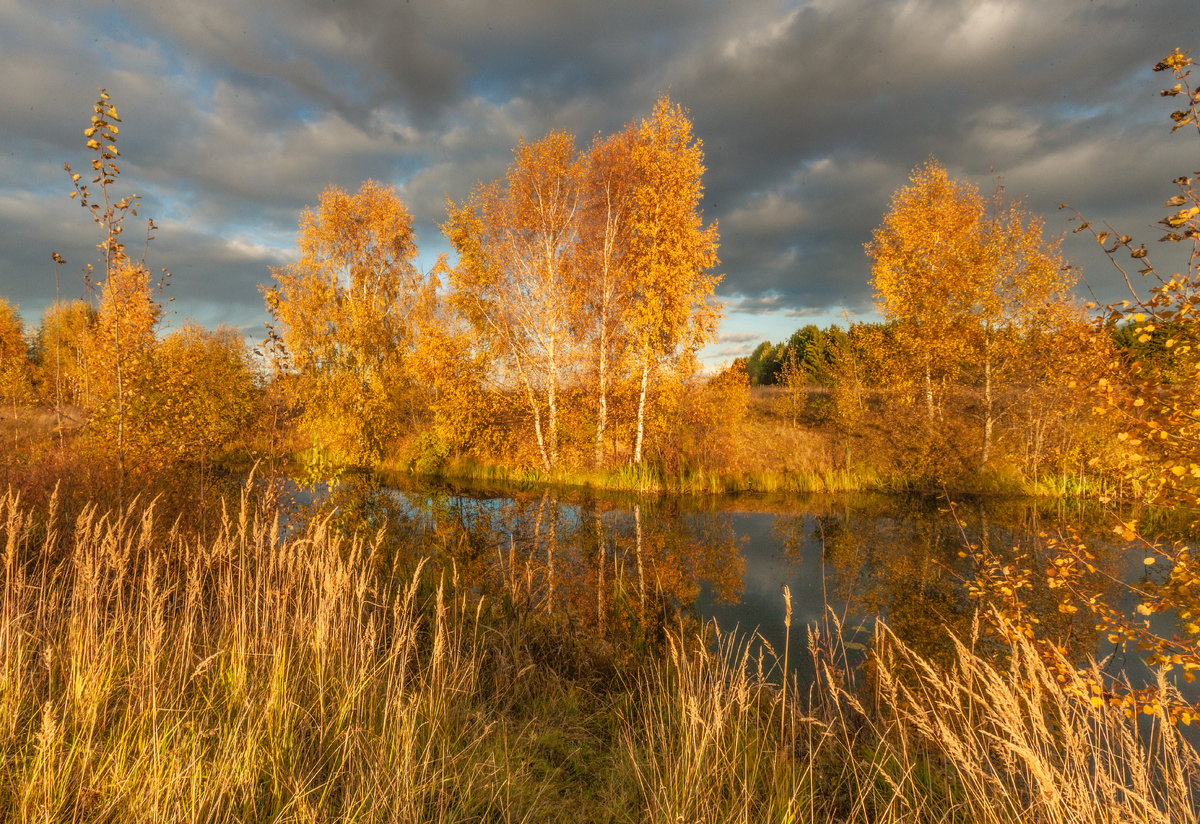 фото:Sergey Metelitsa/Global Look Press