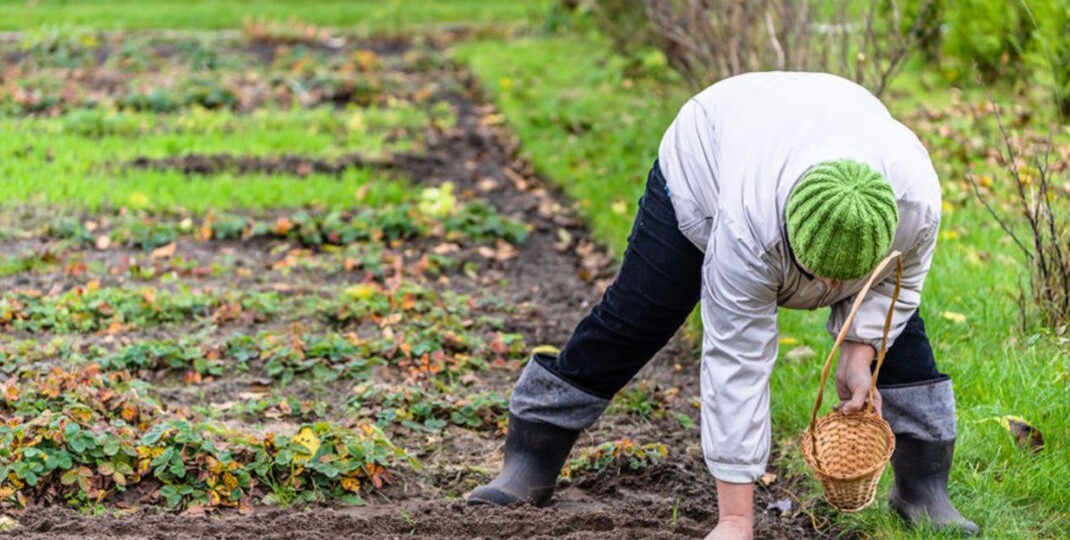Закрываем сезон.