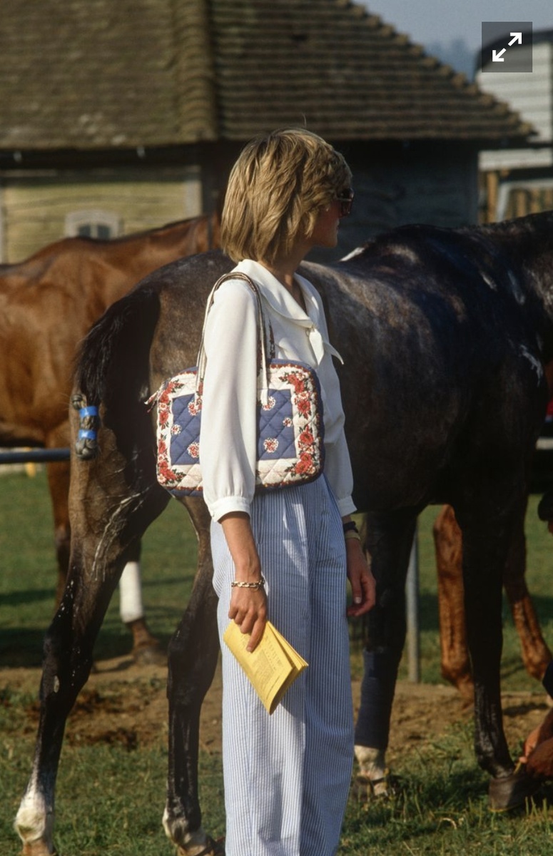 День в поло
Каудрей-парк, 1983