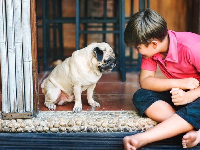    Фото: 123RF/rawpixel