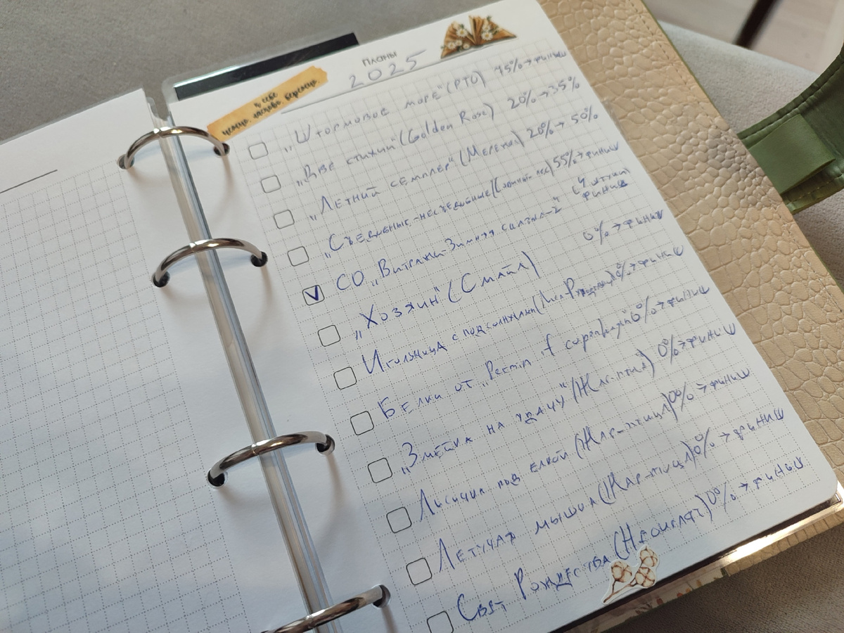 Мой вышивальный блокнот и планы на 2025 год. Даже первая страница планов))