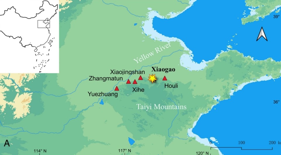   Xuexiang Chen et al. / Proceedings of the National Academy of Sciences, 2025