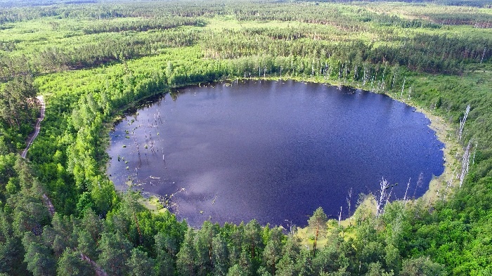 Фото озера. Таких черных озер очень много в России. 