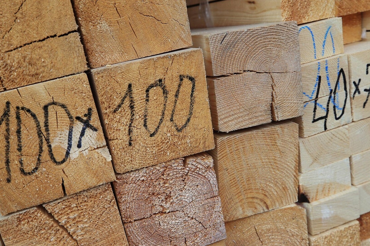    Фото: Антон Денисов, источник: ria.ru