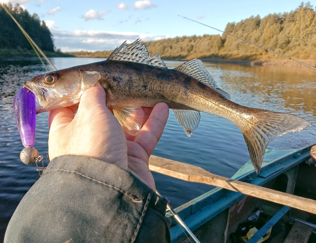 Это уже с другой рыбалки