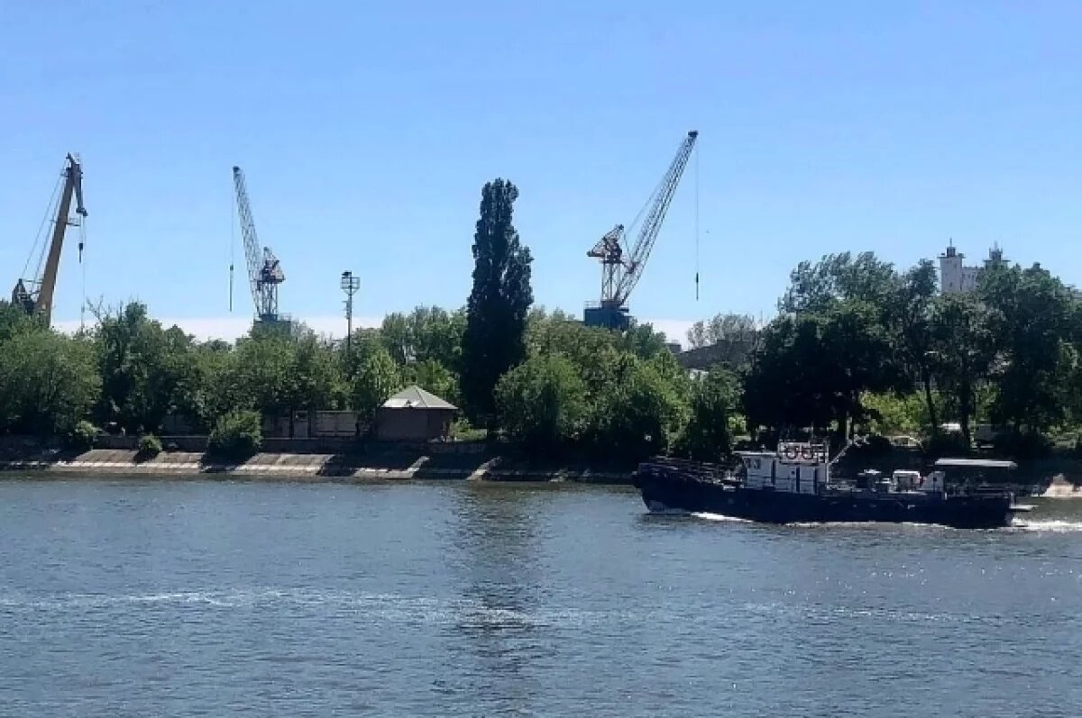    С Дона экспортировали более 4 тыс. тонн корма для животных в Египет