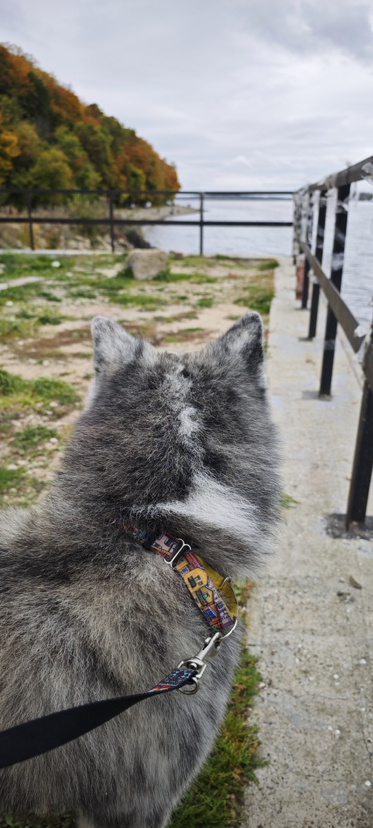 Старый причал