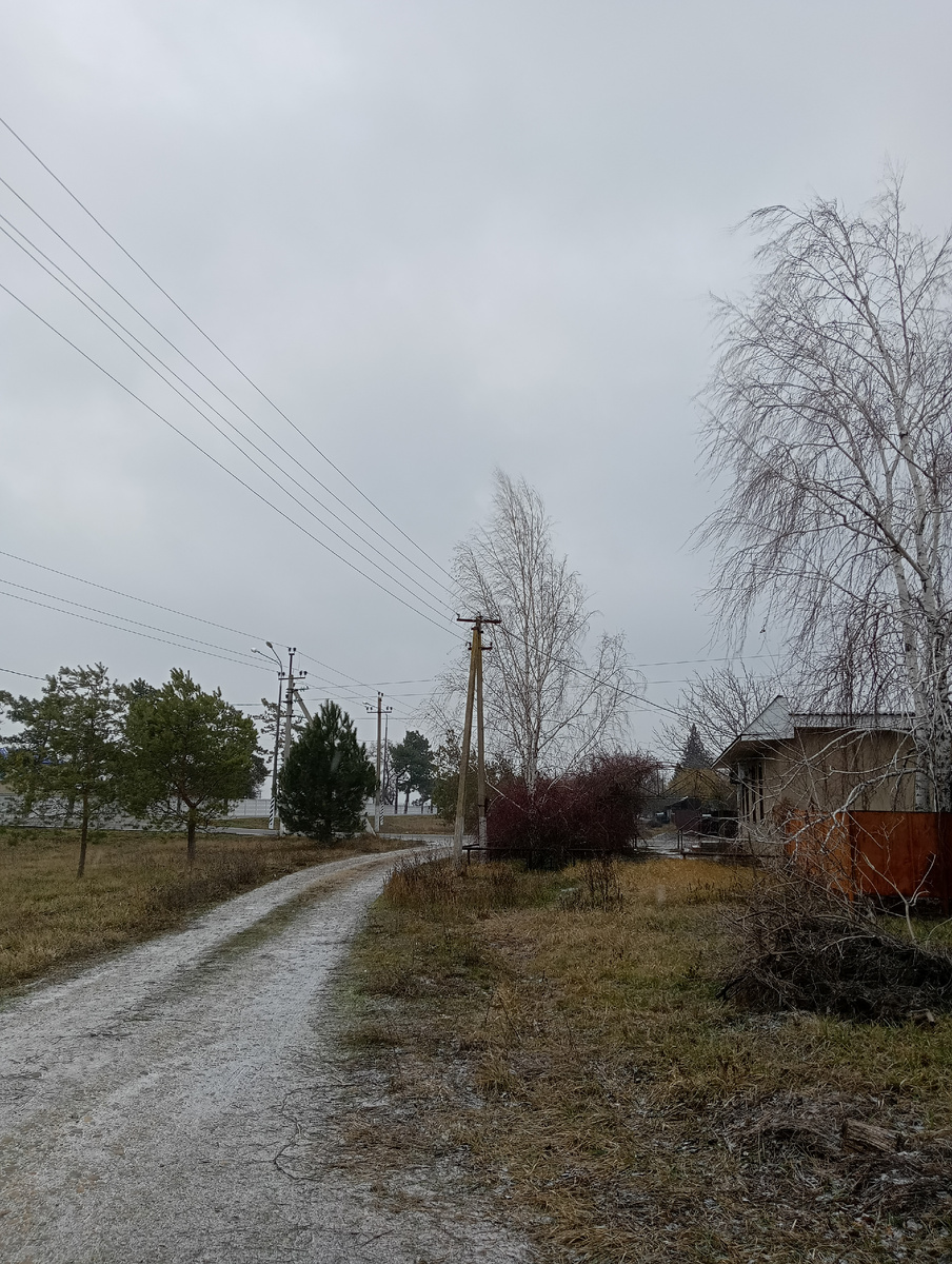 Фото автора, дорога к дому