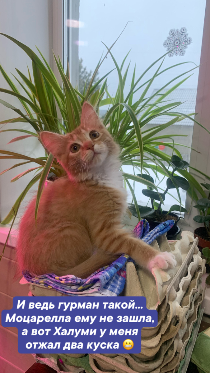 Здесь Ричарду 2 месяца