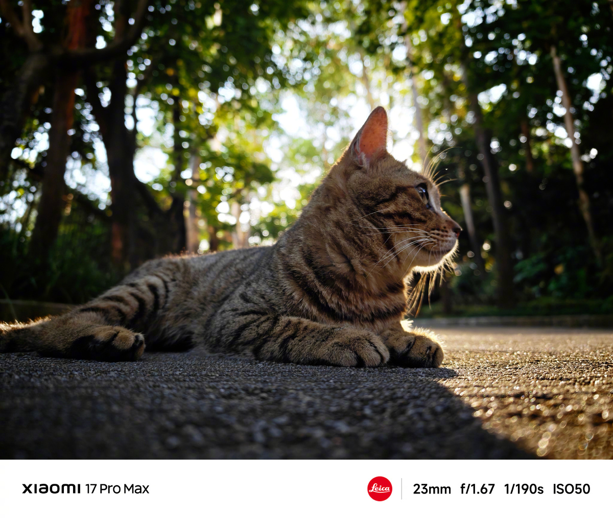 Фото: Lei Jun  📷
