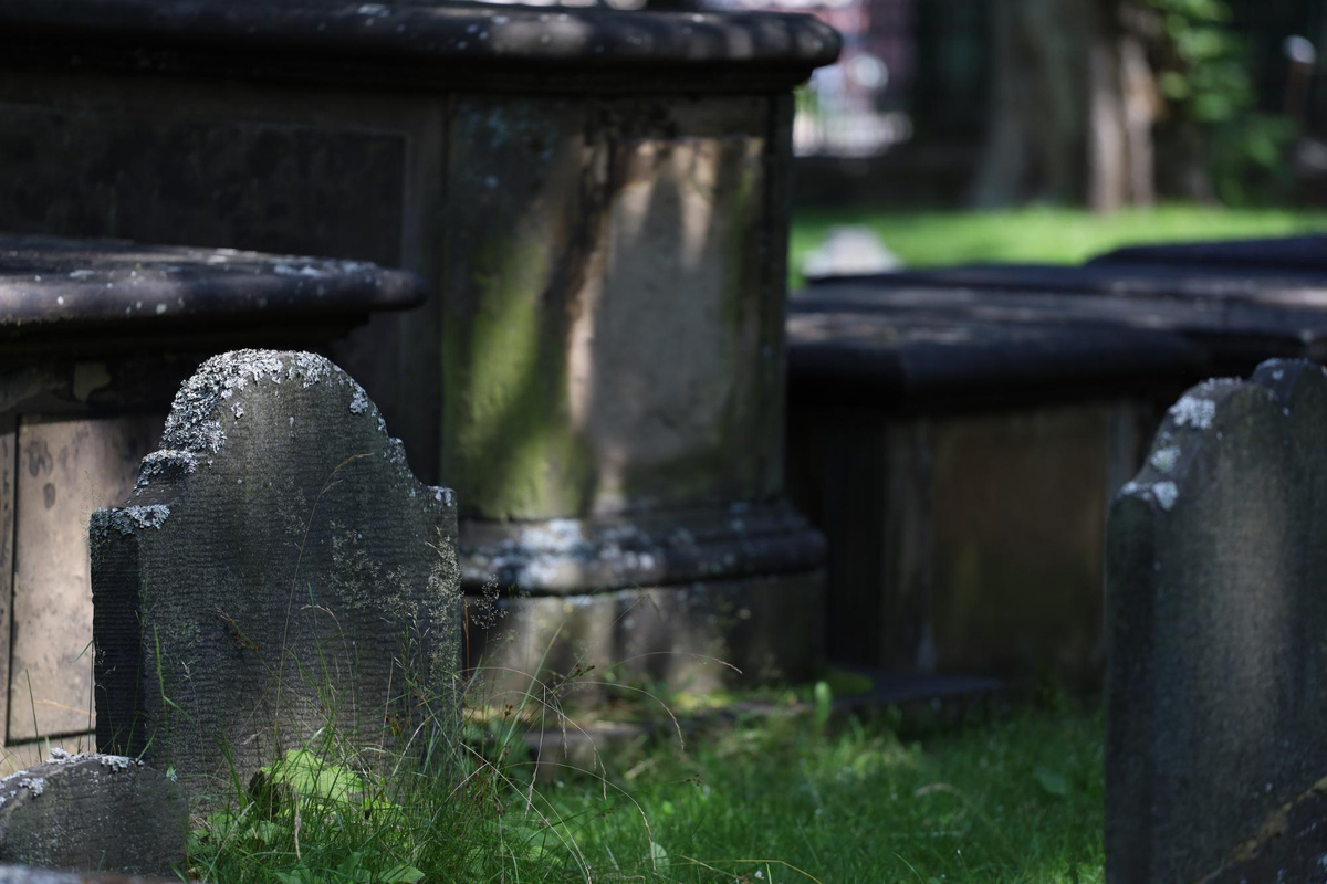 Фото: freepik.com  📷
