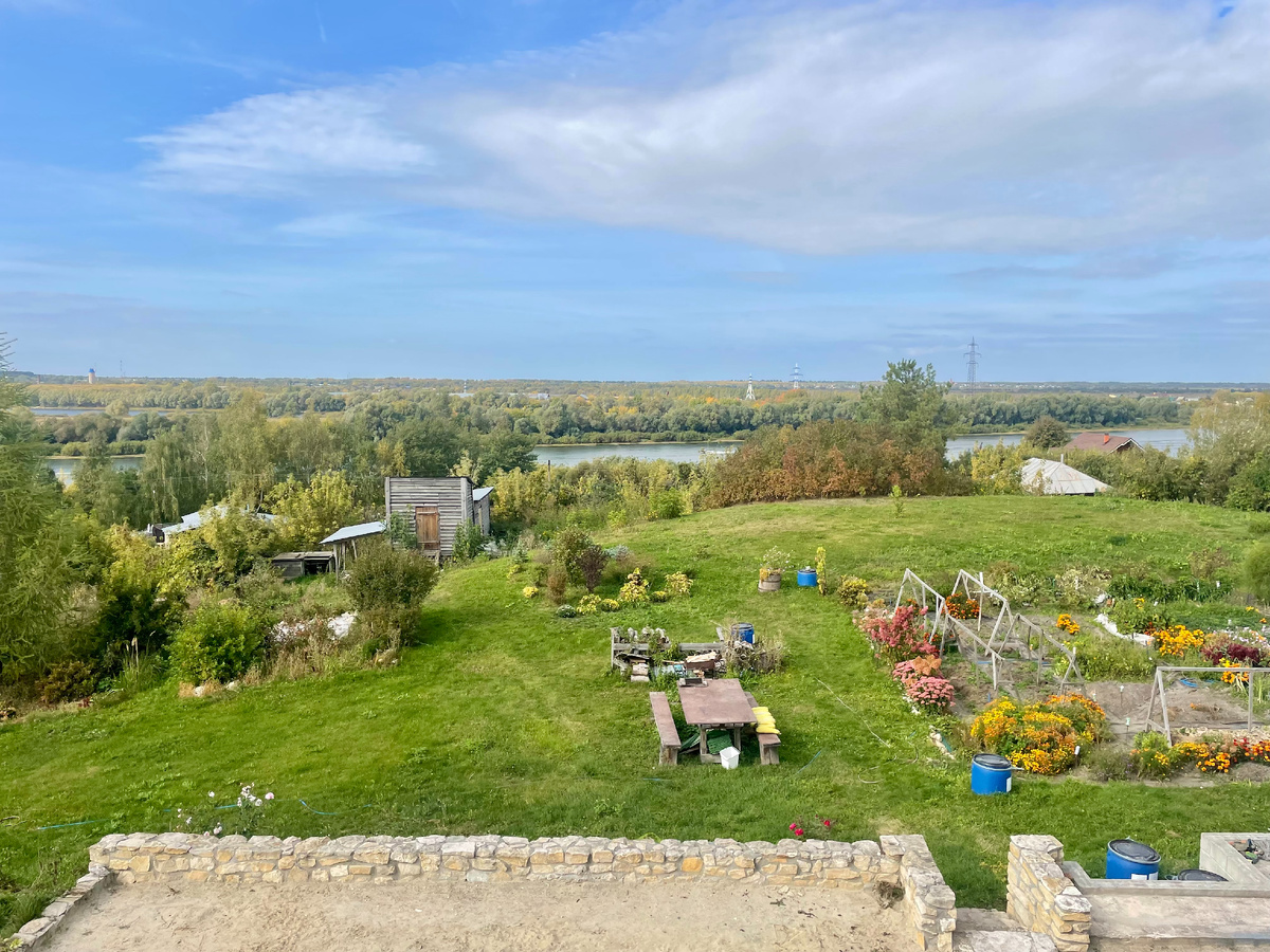 Яндекс картинки