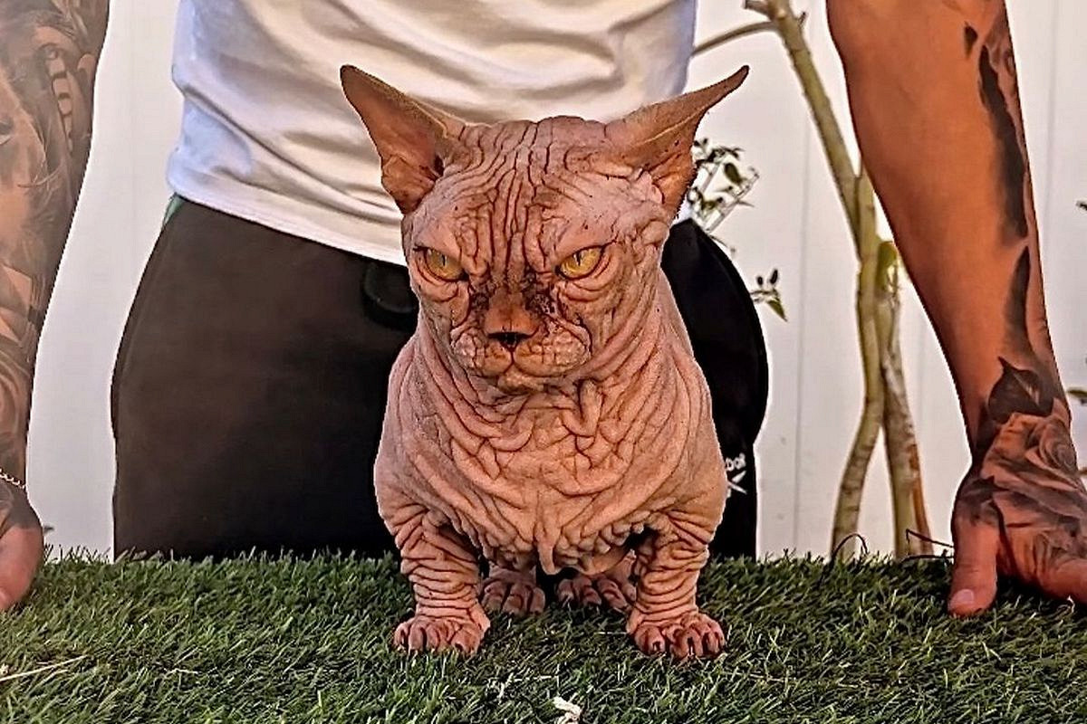 Когда первый (и последний) раз пришел в качалку.