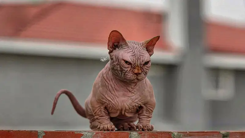 Смирись, теперь это его район!