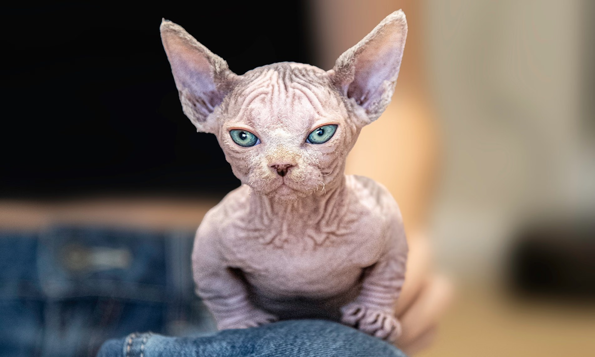 Такой малыш по полу, наверное, не ходит. Он передвигается ползком.