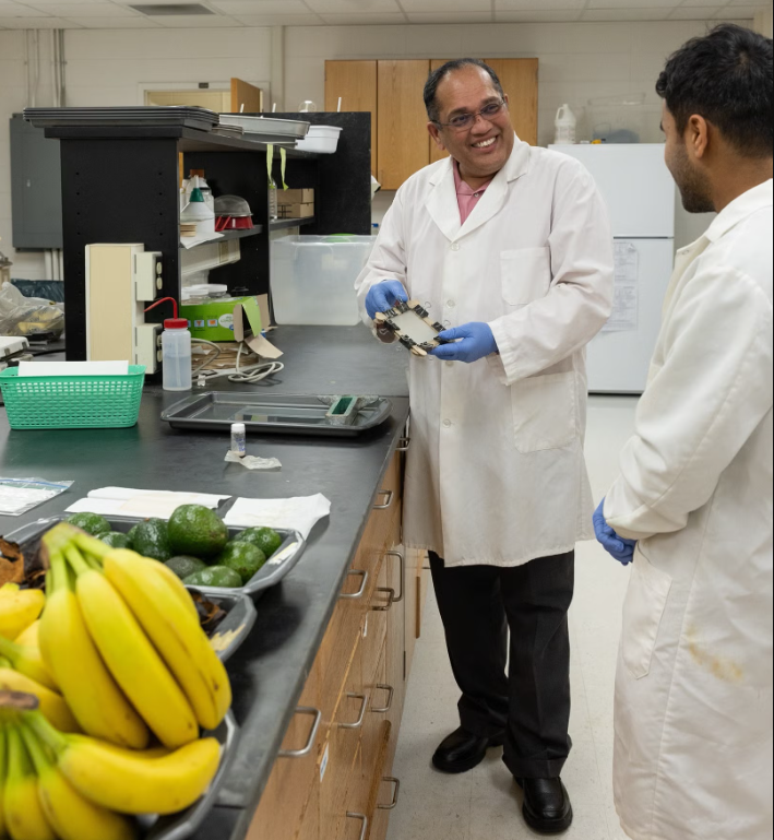    Шринивас Джанасвами в лаборатории. Фото: South Dakota State University
