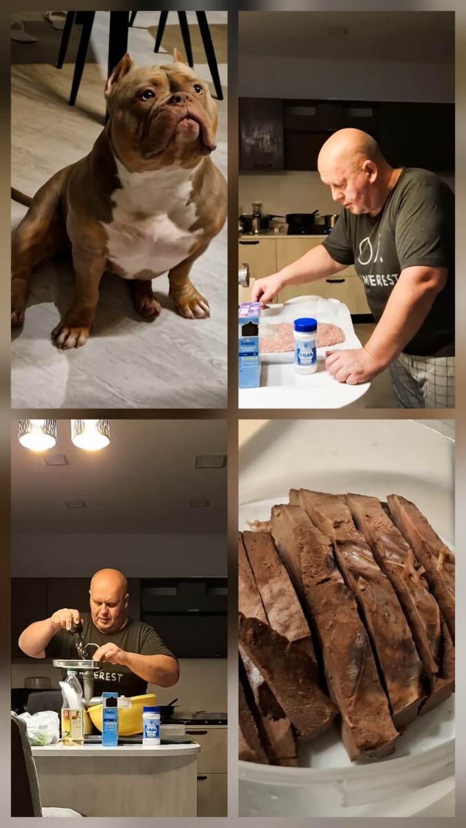 Живая кухня для американского булли Лейлы. Готовим дома 