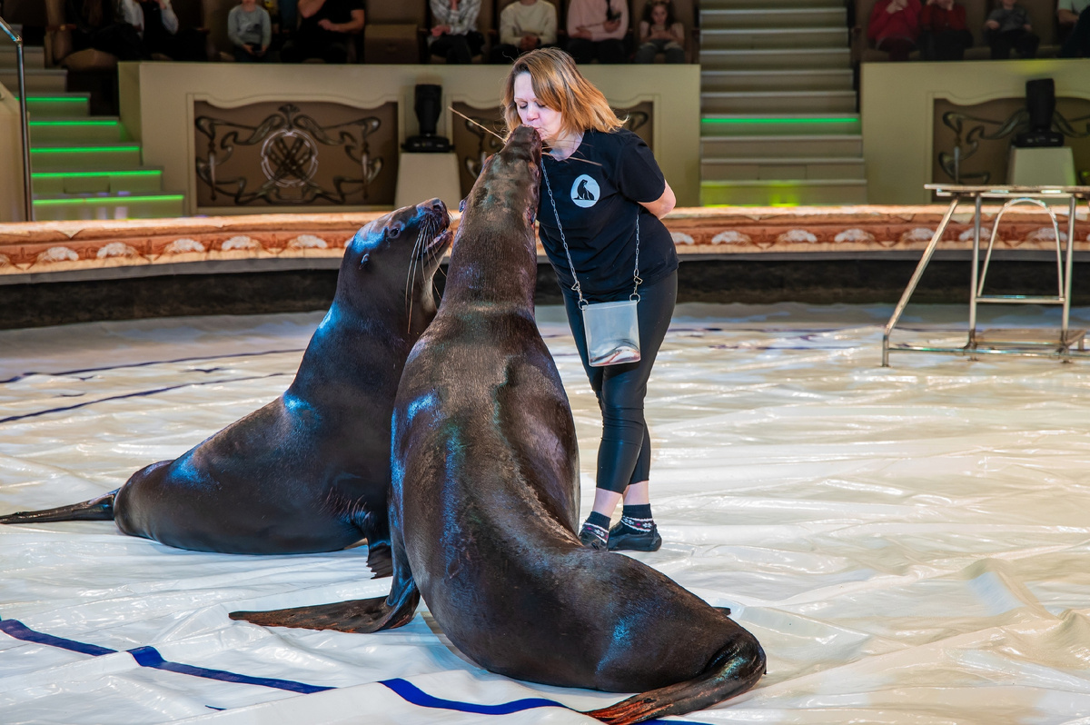 Фото из открытых источников