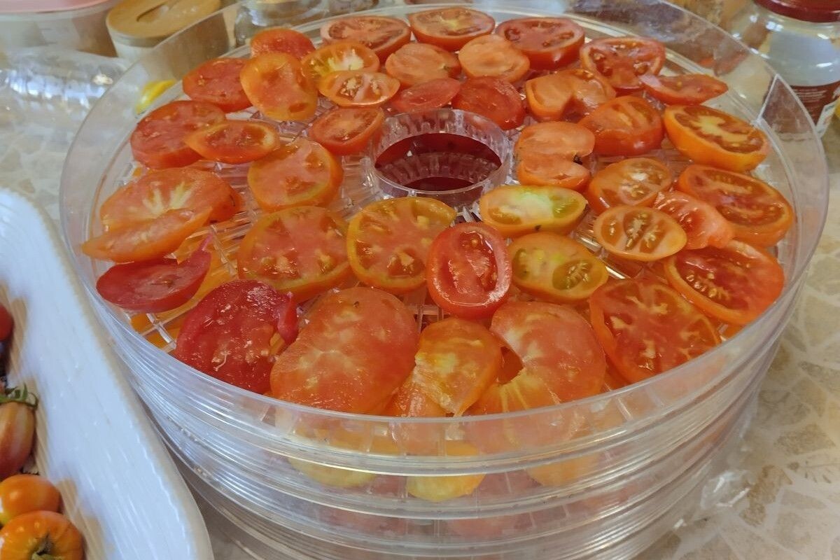 На этой конструкции можно сушить что угодно, от яблок до зелени. Источник: личный архив Ольги Гребневой