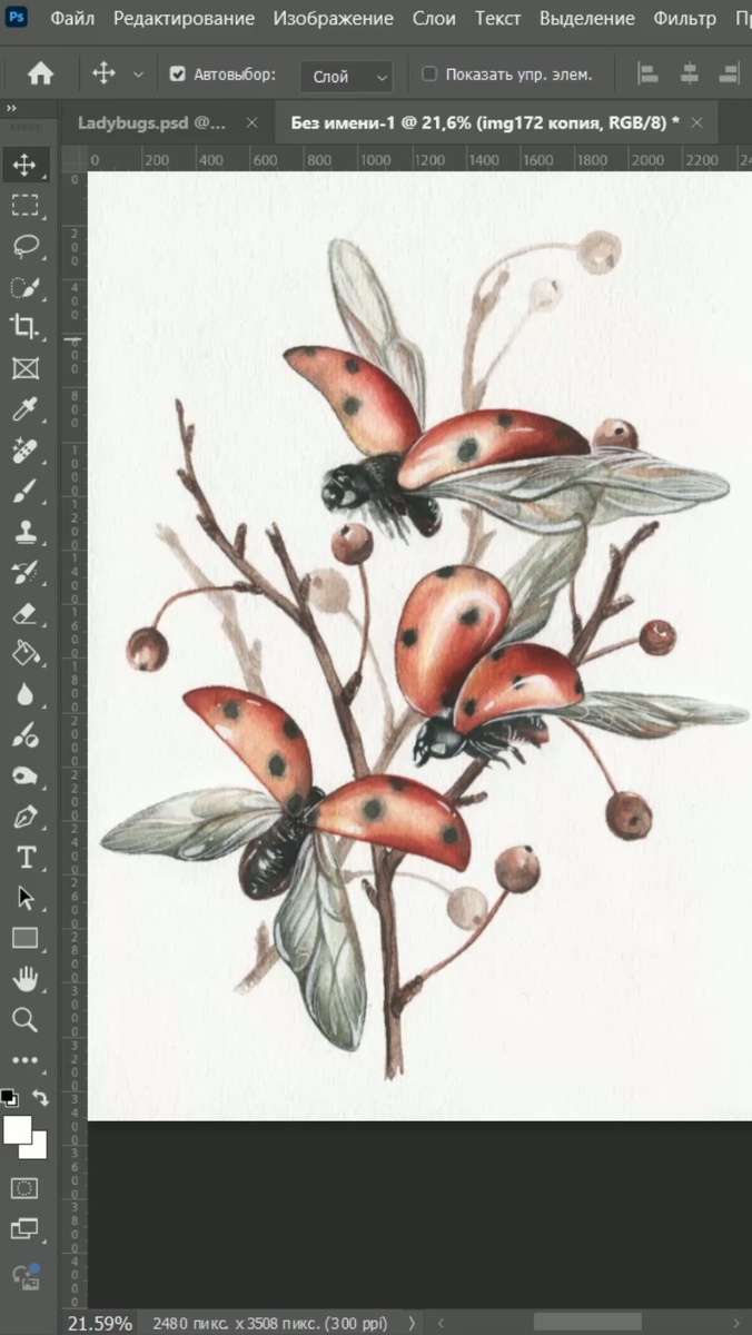 Пример иллюстрации