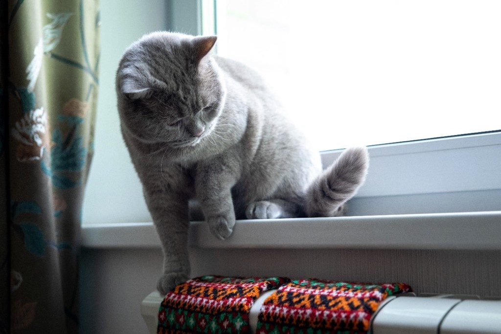    Фото © Владимир Андреев / Абзац