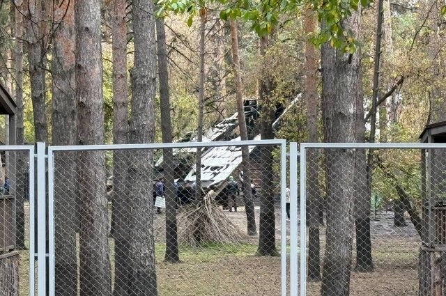    Так выглядит место пожара сейчас. Фото: АиФ-Новосибирск