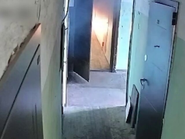    Фото: телеграм-канал "СК Подмосковья"