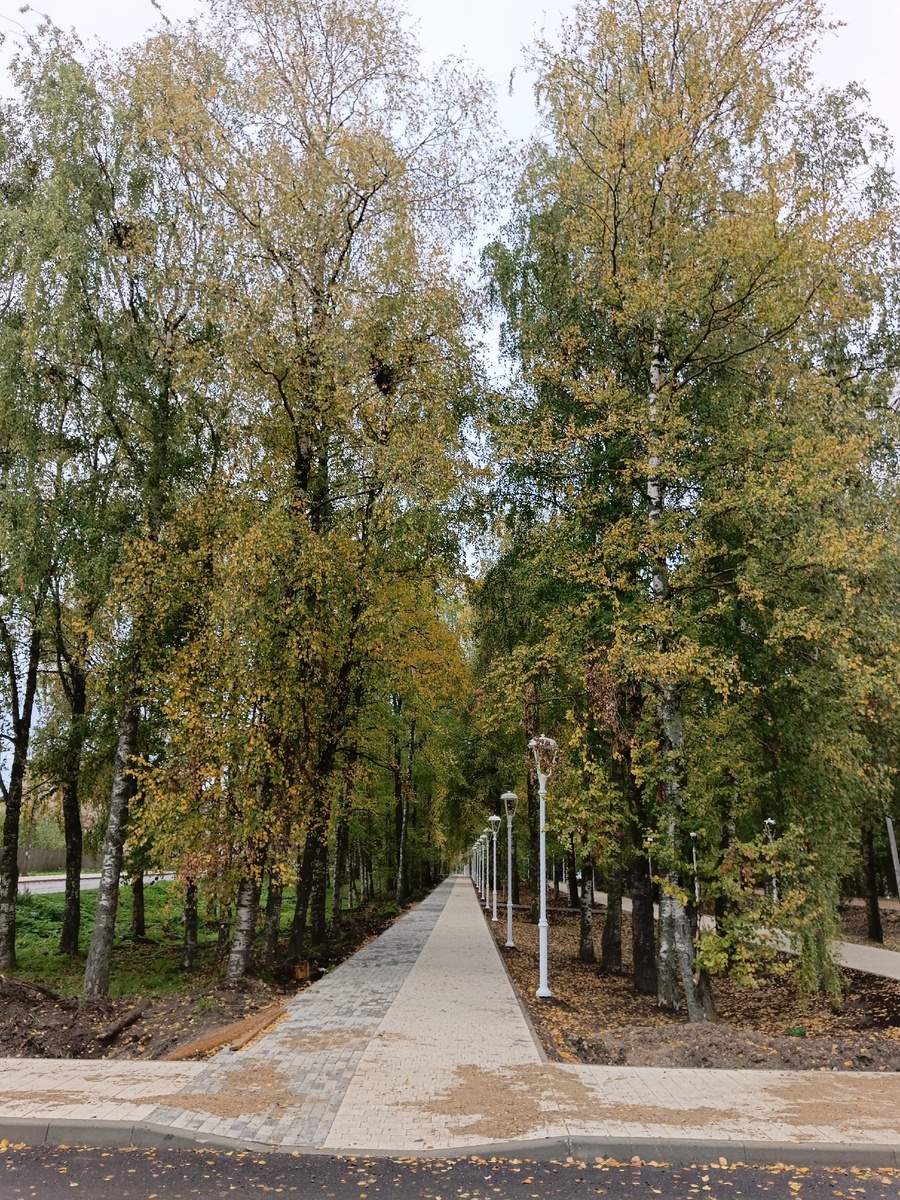 Мои осенние бульвары 🍂🍁🍂