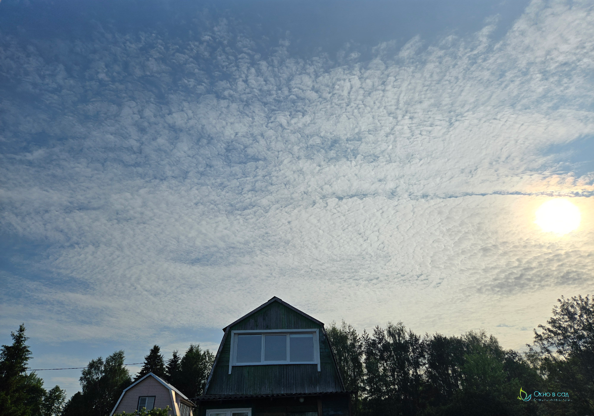 Фото из личного архива автора