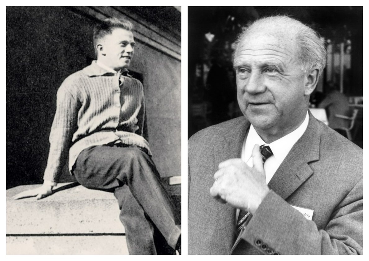 коллаж автора