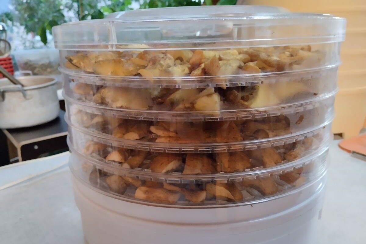 Несложное устройство — но очень сильно помогает с домашними заготовками. Источник: личный архив Ольги Гребневой