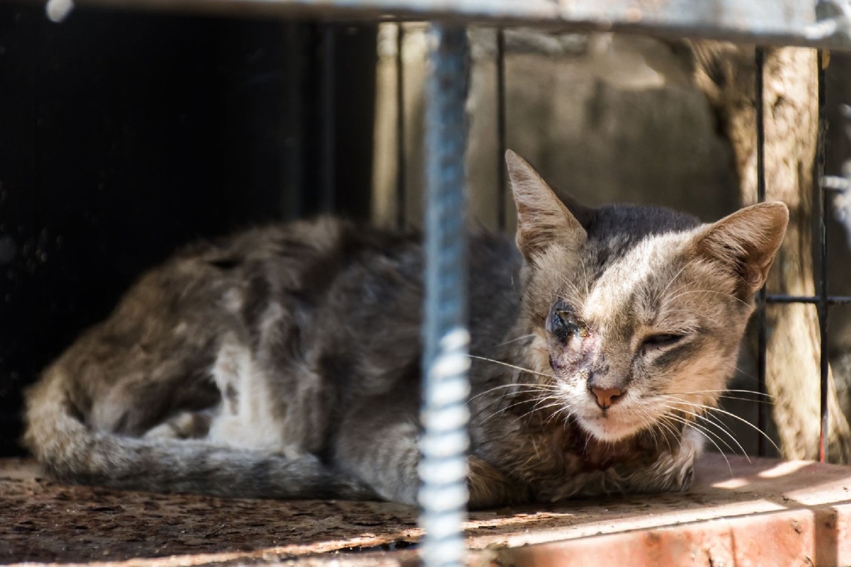    Фото: iStock/Palakorn Jaiman